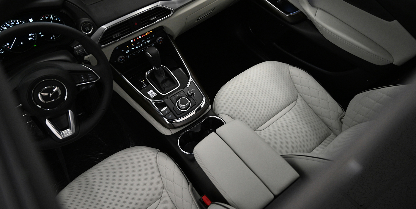 Vehicle interior biohazard cleaning